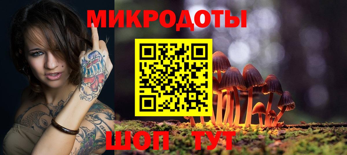 Псилоцибиновые грибы Psilocybe  Вход с VPN  Краснознаменск  Галлюциногенные грибы прущие грибы 